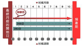 Mamypoko滿意寶寶 呵護寶寶最佳的夥伴